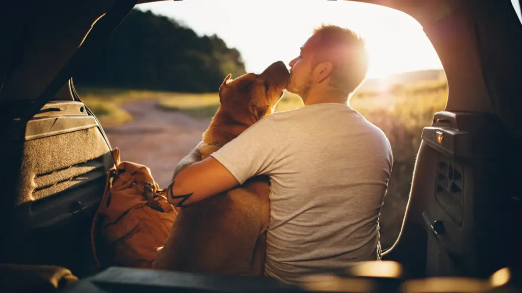 Man hugging his dog in their car parked outside in nature