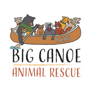 Pickens & Gilmer Counties