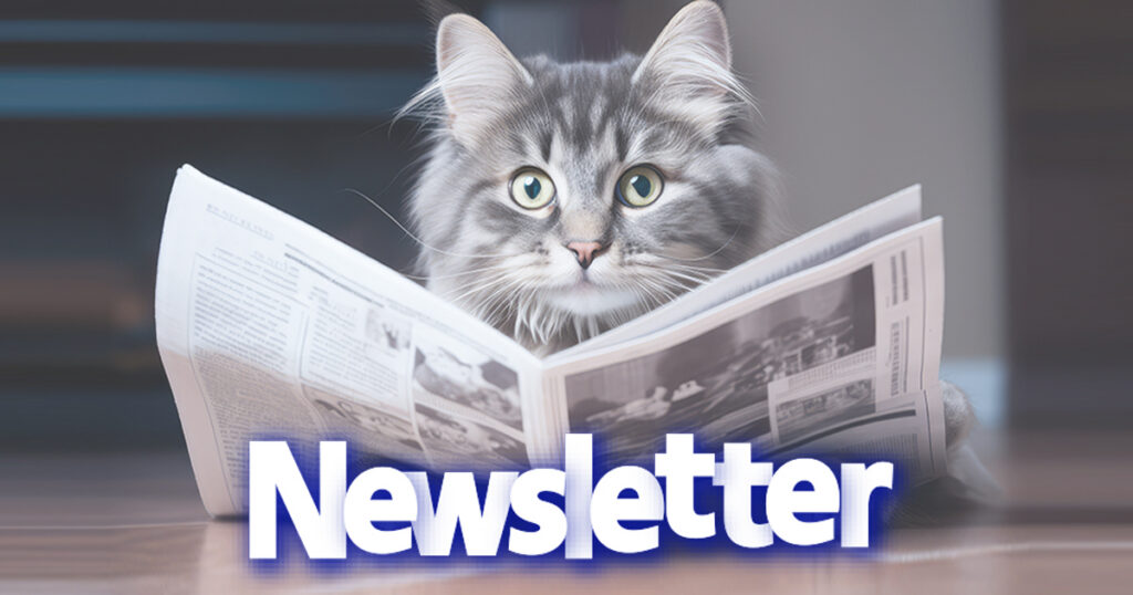 New-Newsletter-Header